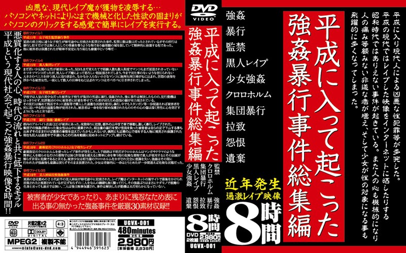 平成に入って起こった強●暴行事件総集編